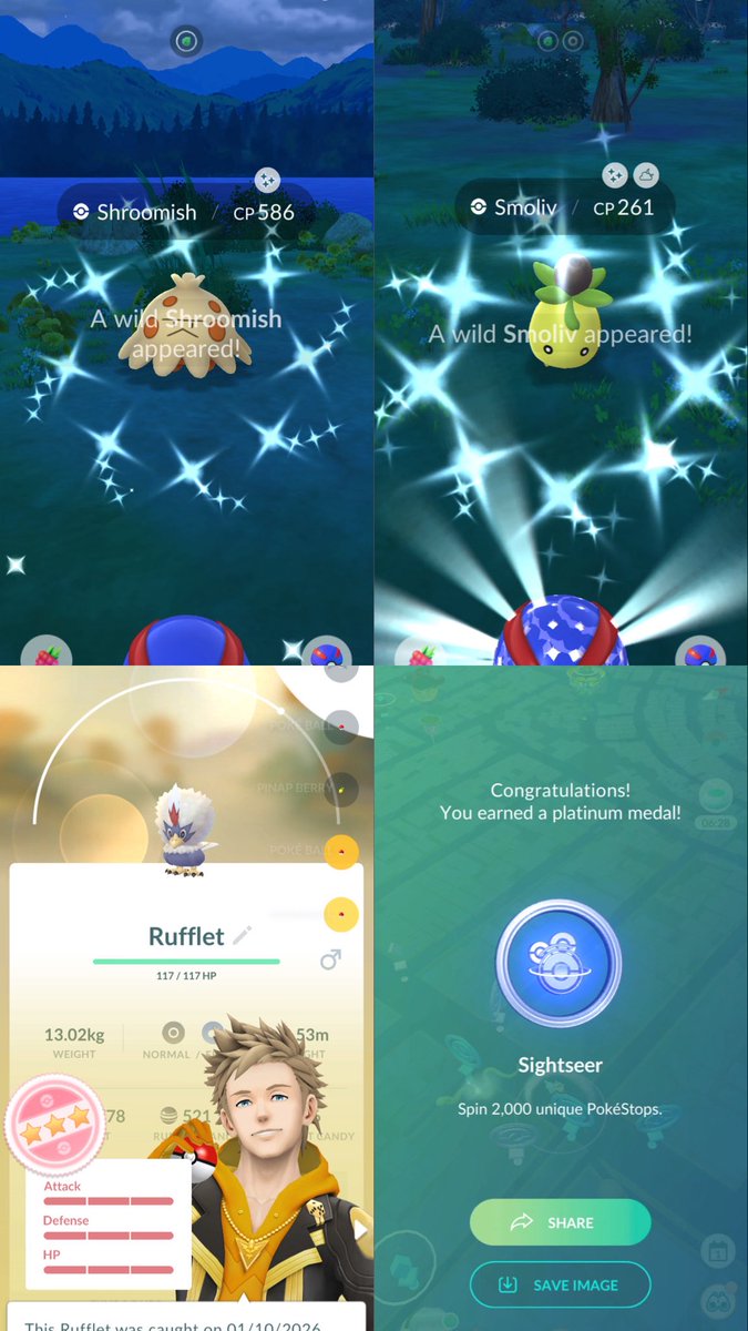 snicKerjjPoGO's tweet photo. starting october with 2 shinies, a hundo, and a new platinum medal! ✨💯

#pokemongo #shinyshroomish #shinysmoliv #sightseerplatinummedal https://t.co/thNCqHKo6J