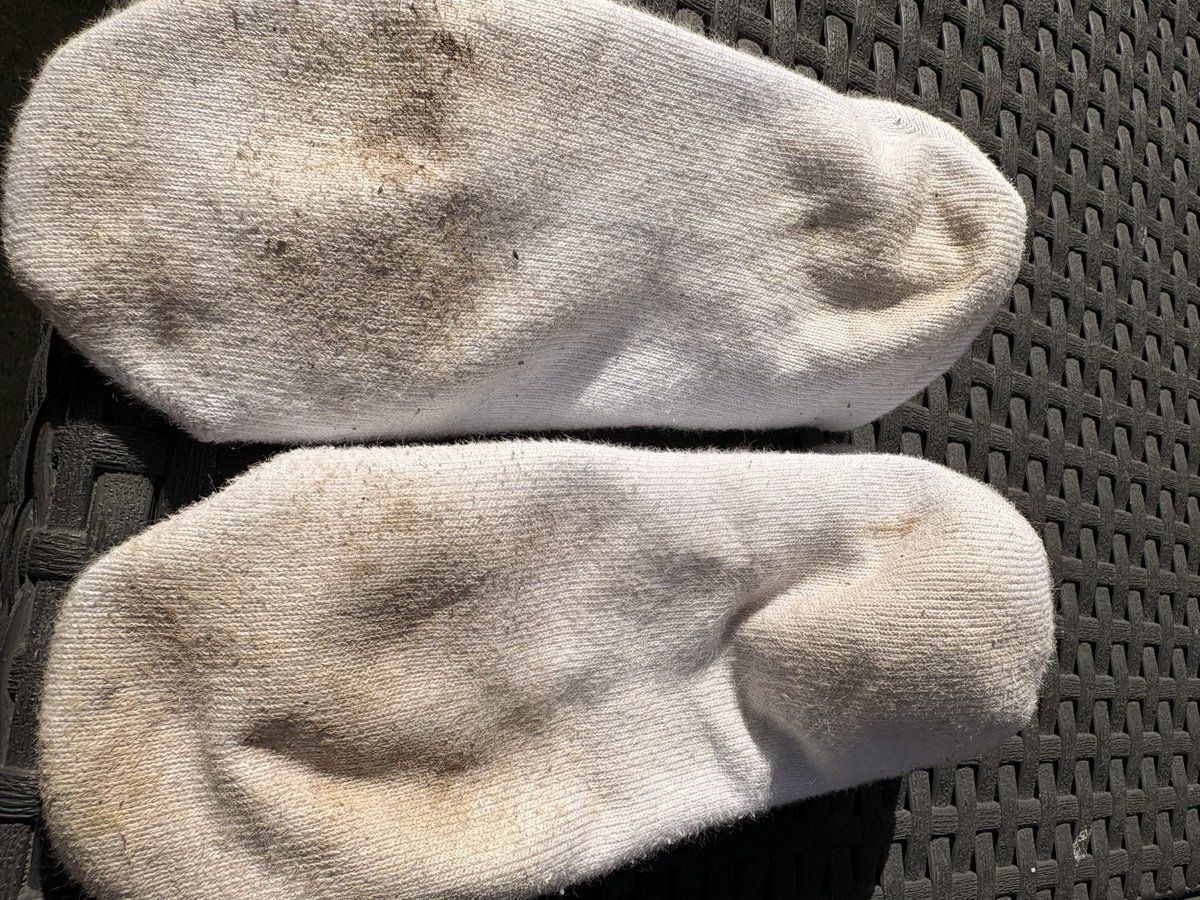 MillyHumphslyn's tweet photo. The state of my socks! 
#feetpicseller #sockseller #weirdthingsisellonline https://t.co/LXjStKRHrP