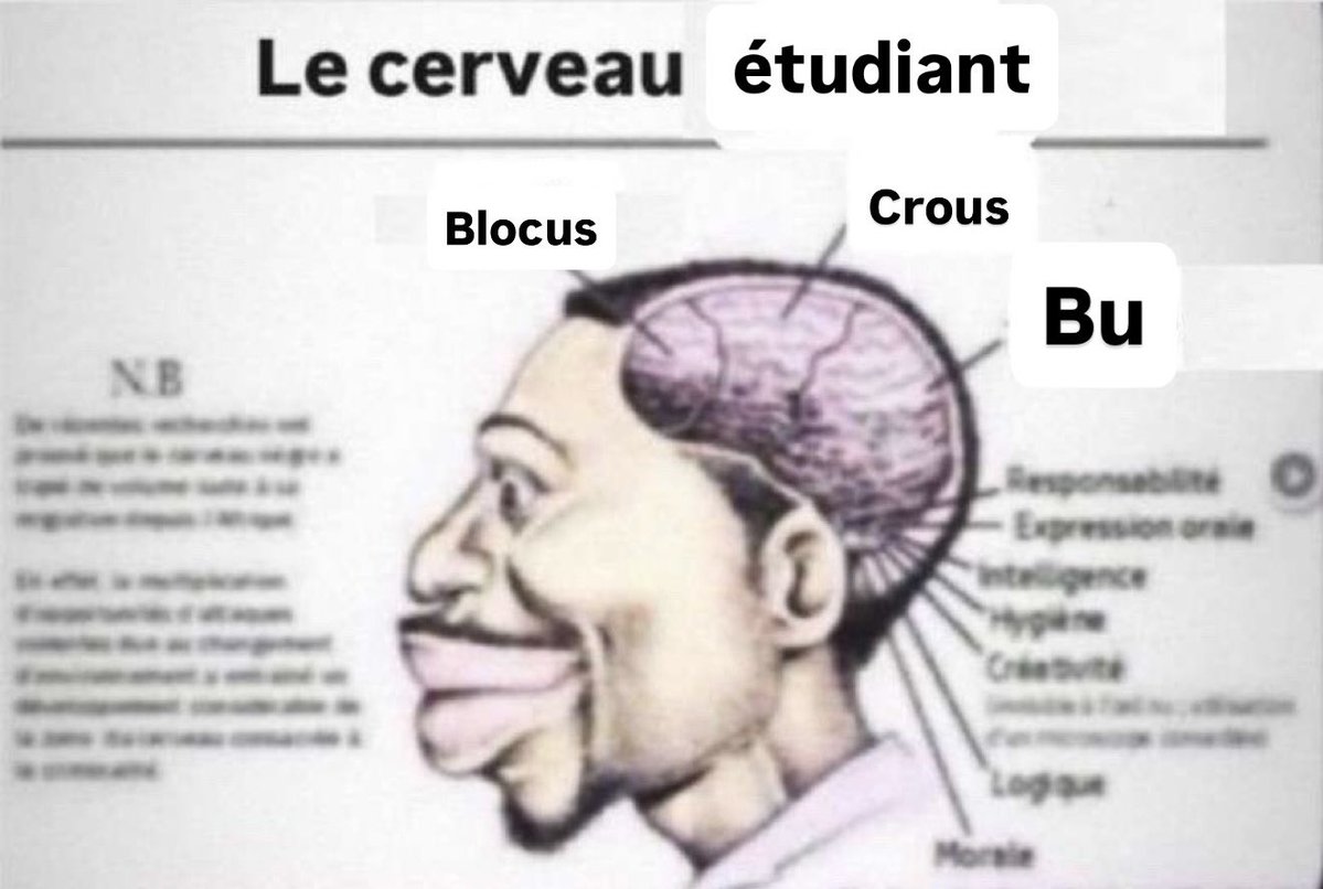 Ams_Pessinho's tweet photo. Dm jvais aller à la fac juste pour un blocus https://t.co/kl8l3zoAS0
