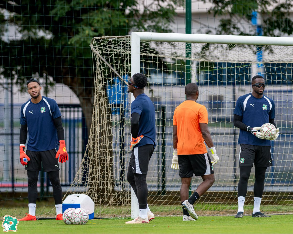 equipenatciv's tweet photo. 🐘🔥🇨🇮 Les Éléphants poursuivent leur préparation avant la rencontre amicale face aux Lions Indomptables du Cameroun ! Séance d'entraînement ce jeudi 1er octobre à 11h.

#CIVCMR #TousDerrièreLesÉléphants #LesÉléphants #FIF https://t.co/xM5RrfjS27