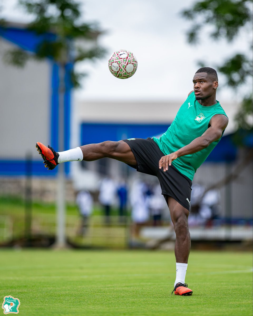 equipenatciv's tweet photo. 🐘🔥🇨🇮 Les Éléphants poursuivent leur préparation avant la rencontre amicale face aux Lions Indomptables du Cameroun ! Séance d'entraînement ce jeudi 1er octobre à 11h.

#CIVCMR #TousDerrièreLesÉléphants #LesÉléphants #FIF https://t.co/xM5RrfjS27
