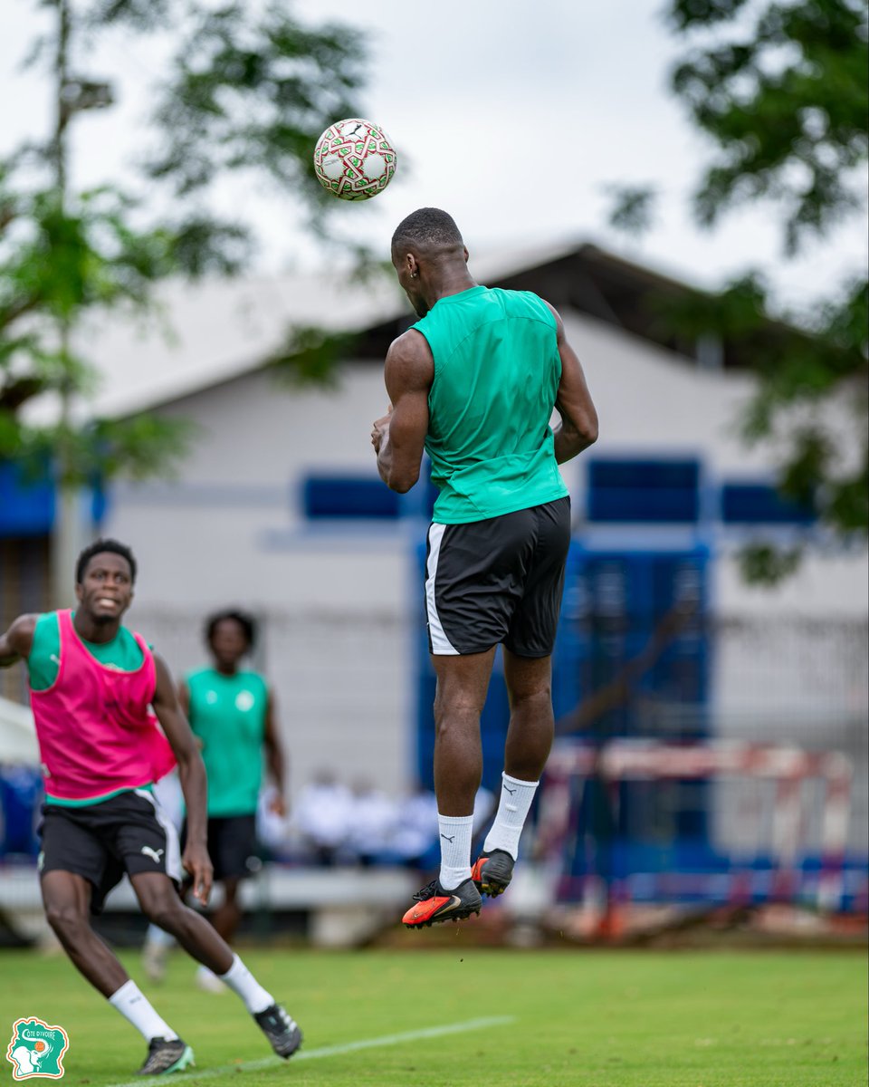 equipenatciv's tweet photo. 🐘🔥🇨🇮 Les Éléphants poursuivent leur préparation avant la rencontre amicale face aux Lions Indomptables du Cameroun ! Séance d'entraînement ce jeudi 1er octobre à 11h.

#CIVCMR #TousDerrièreLesÉléphants #LesÉléphants #FIF https://t.co/1OuQH1irml