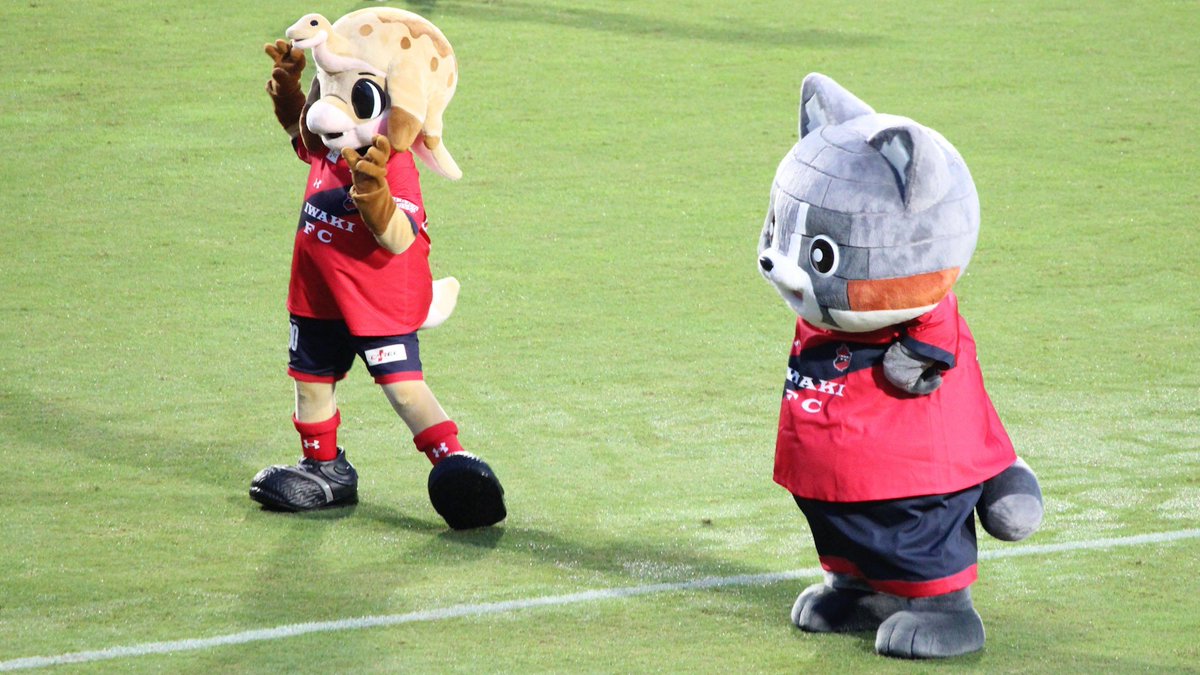 Axio_5163's tweet photo. ハーマー＆ドリーとリフラくん🦕🦝
#ハマドリ #リフラくん #ハワイアンズスタジアムいわき https://t.co/JDCgB9PGNT