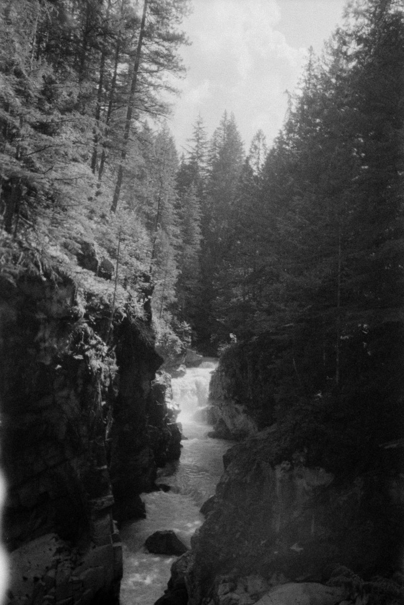 thedanosaurio's tweet photo. Análogas de nubes grises, coníferas, esperanza y duelo por algo que nunca existió.
#filmphoto #blackandwhite #canada #analog https://t.co/q1EKa46y2n
