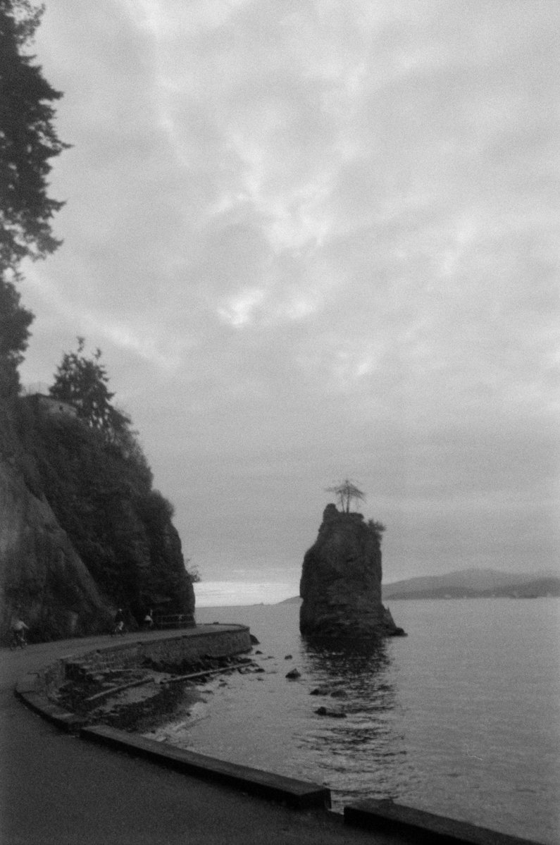 thedanosaurio's tweet photo. Análogas de nubes grises, coníferas, esperanza y duelo por algo que nunca existió.
#filmphoto #blackandwhite #canada #analog https://t.co/q1EKa46y2n
