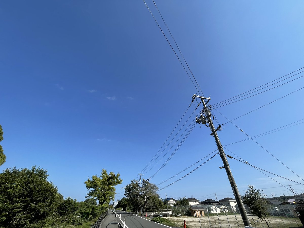 Haru8006Mon's tweet photo. 【はるちゃん🐥探してます】
山口県 岩国市 近隣で写真↓の #オカメインコ (ルチノー)を探しています。
保護・目撃・譲渡、似た鳥を拾って育てているなど、聞いた事や見た事、思い出した事などありましたら ご一報ください🙇‍♀️

■オカメインコ (ルチノー)
■名前：はるちゃん
■場所：山口県 岩国市
■日付：2024/11/15

岩国警察署・大竹警察署に届出済みです。
はるちゃんに繋がりますように🙏🏻

#オカメインコ迷子 #迷子鳥 #迷い鳥 #インコ迷子 #迷子インコ #迷いインコ #鳥迷子 #オウム迷子 #オカメインコ保護 #保護鳥 #山口県 #岩国市 #広島県 #大竹市 #和木町 #柳井市