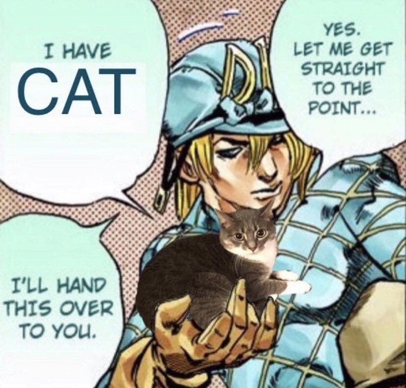 PunchingCat's tweet photo. https://t.co/7kRp2QuUGJ