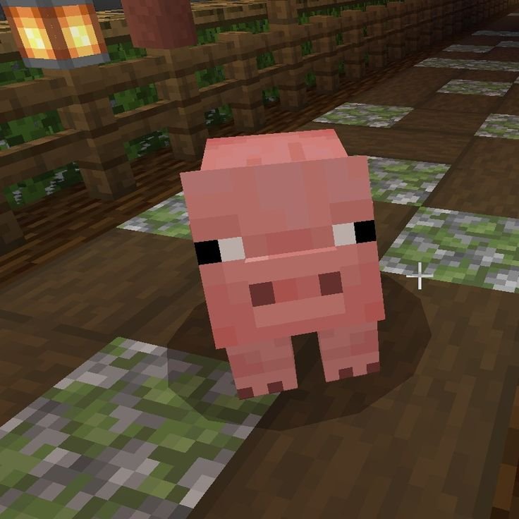 dwtdbailey's tweet photo. อุ้ดน้อย 🐖 หนึ่งในมุ้ลิสของแม่ แก้มอ้วรจุม ㅜㅜ https://t.co/BR4eETErFZ