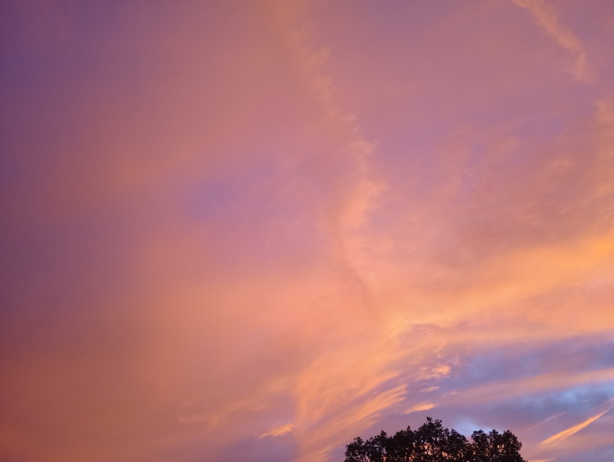 Erzala1's tweet photo. Didn't get around to posting this the other day but the morning sky looked like it was on fire https://t.co/iQA9HmdODe