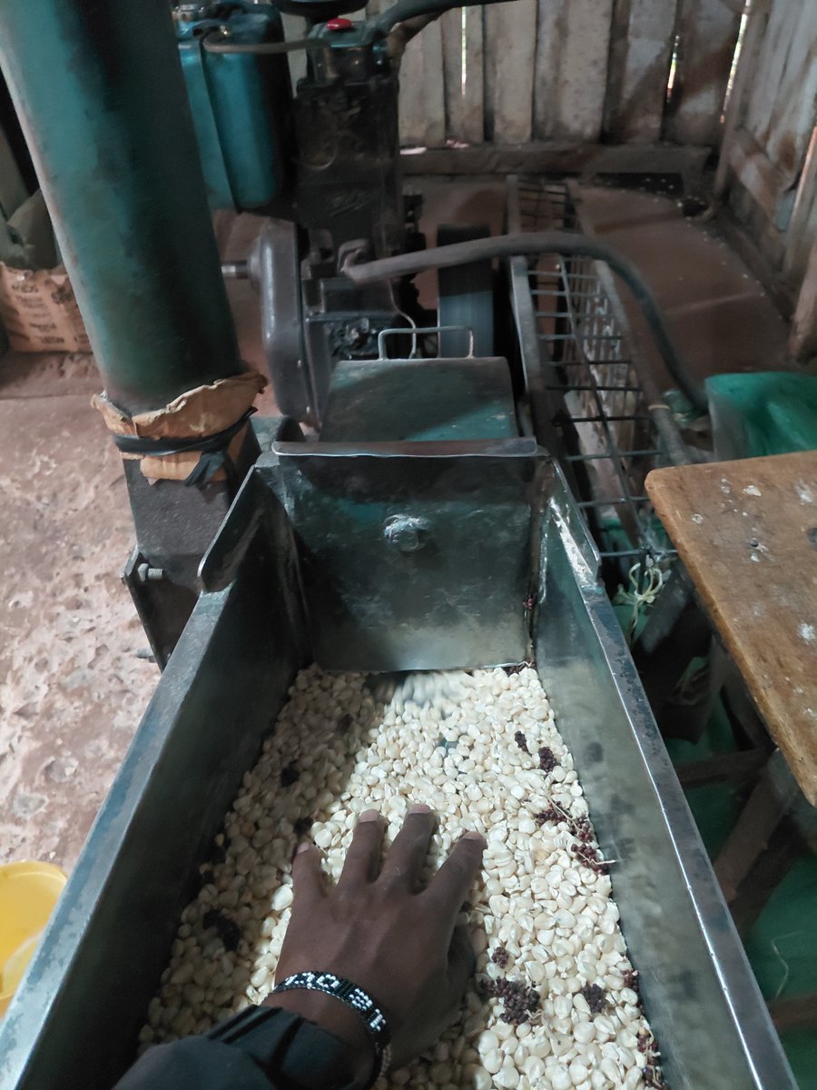 pkemoi9131's tweet photo. Am now employed bana  hapa nyumbani imejipa wadau https://t.co/bH60lOQf8p