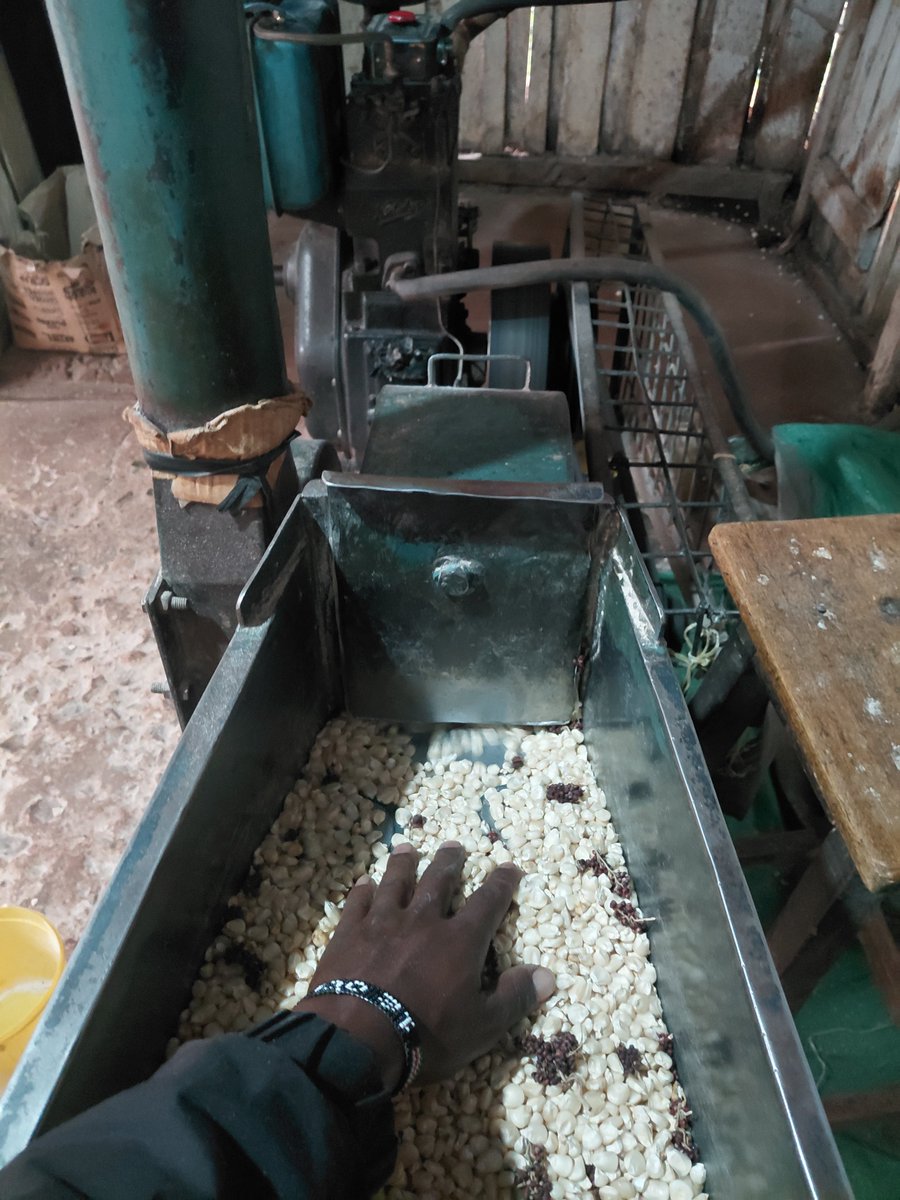 pkemoi9131's tweet photo. Am now employed bana  hapa nyumbani imejipa wadau https://t.co/bH60lOQf8p
