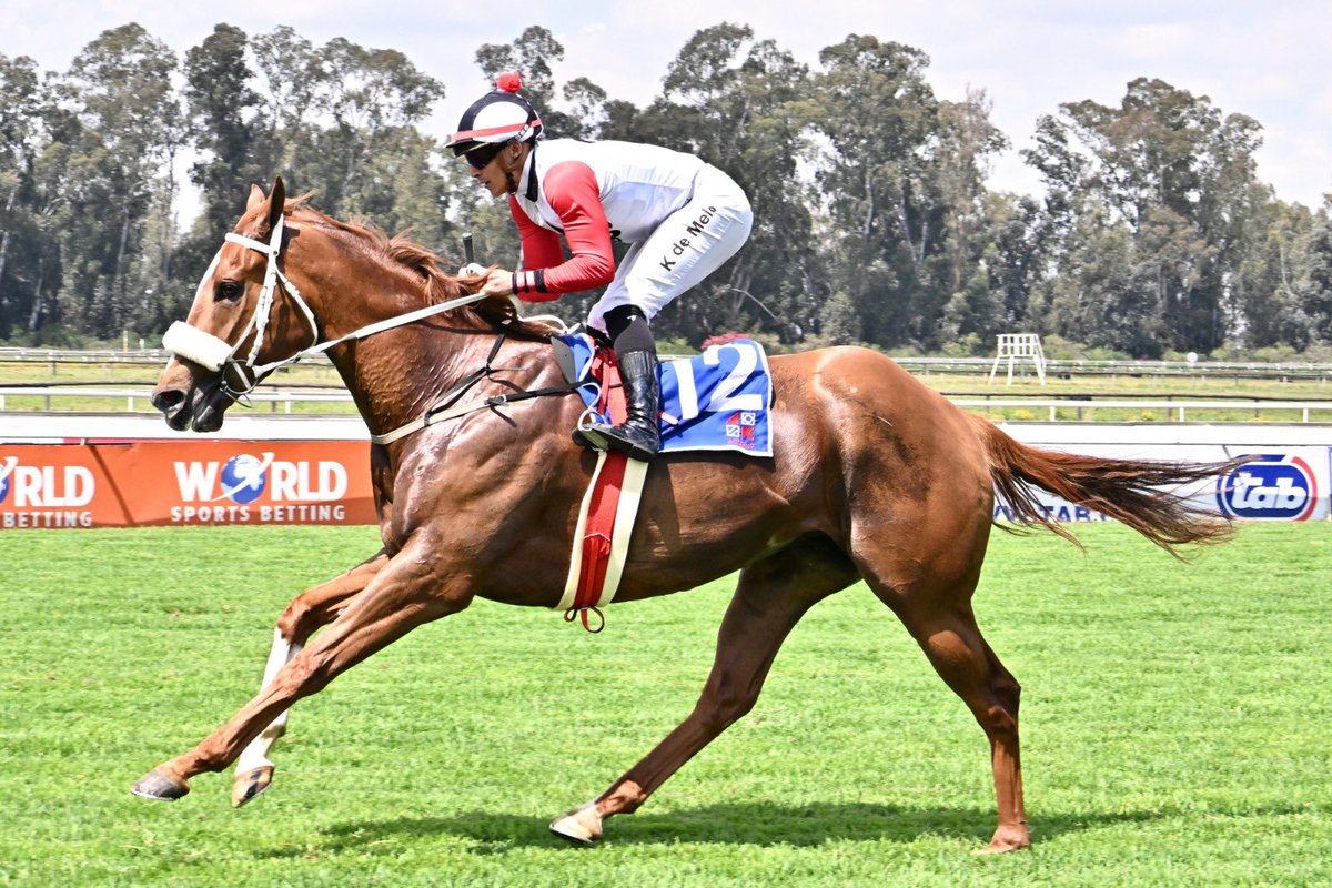 Safgirl2's tweet photo. Kings Mountain, a lovely colt by Vercingetorix out of Katy Tee Perry wins by 7.5 lengths under Keegan De Melo for owner Laurence Werners Gujadhur and Mr Wilson. Congratulations to all concerned. @DeKockRacing @luckyfishza https://t.co/y1pEYdc5EH
