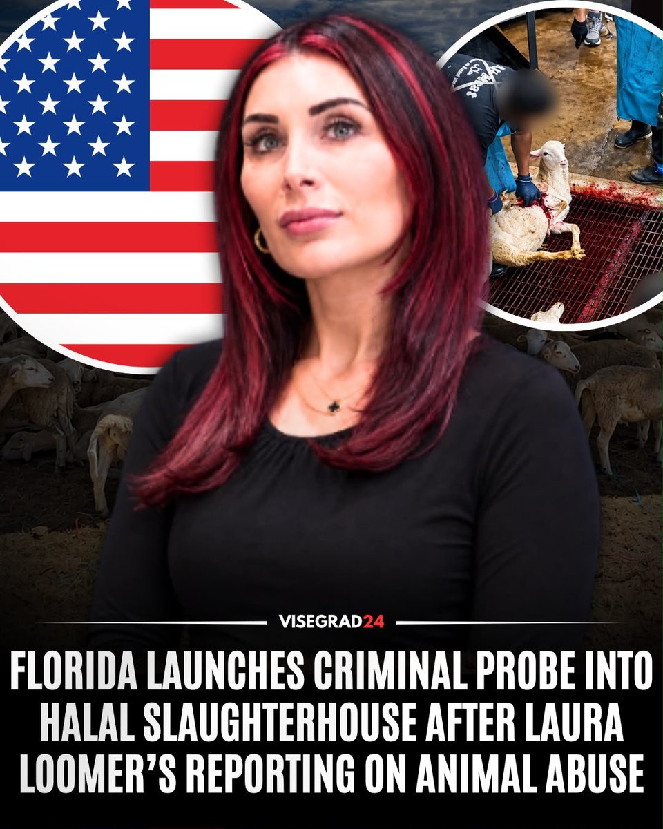 visegrad24's tweet photo. The Florida Department of Agriculture and Consumer Services has launched an active criminal investigation into Ali Meat International, an Orlando halal slaughterhouse, following Laura Loomer’s reporting on disturbing undercover footage showing animals being subjected to prolonged and botched killings.

FDACS confirmed in writing to Loomer that its Office of Agricultural Law Enforcement “currently has an active and ongoing criminal investigation” into Ali Meat International.

The footage, recorded at the slaughterhouse during Eid al-Adha last year, shows customers and children participating in slaughter, workers using electric prods on animals and animals being left alive and bleeding.

One sequence shows an animal’s throat being repeatedly sawed, as many as 15 times, while it remained alive.

The slaughterhouse is operated by Mohammad Razzaq and Kalsoom Razzaq.