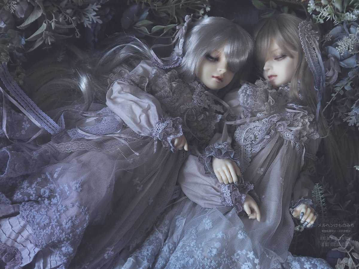 harukemo_gaburi's tweet photo. 姫袖ばかり作ってるとこのもきゅっとした袖が懐かしく⋯

ちなみに姫袖のレースは両袖合わせて4mあったりします。

なのに全然そう見えない不思議。

まだイケる！盛れる！みたいな⋯ https://t.co/JMkvnXVkj5