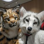 Photo by BerkWolf 🇩🇪🇳🇱 🔜 FNV 🇳🇴 🔜 Pawska 🇵🇱 (@BerkWolf)
