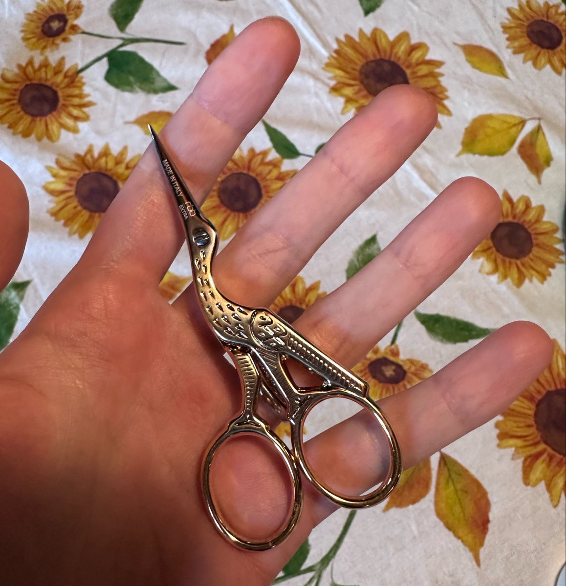 KatieGoldin's tweet photo. @Chinchillazllla Bird scissors crew rise up https://t.co/jpZEhKBMmw