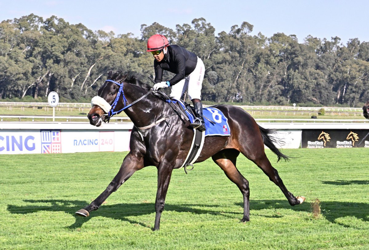 Safgirl2's tweet photo. Another  Vercingetorix wins for us today @DeKockRacing Congratulations to Mary Slack @Wilgerbosdrift on Feast Of Berries’ lovely win. Well done @MuziYeni 
@luckyfishza https://t.co/6luUnh6swq