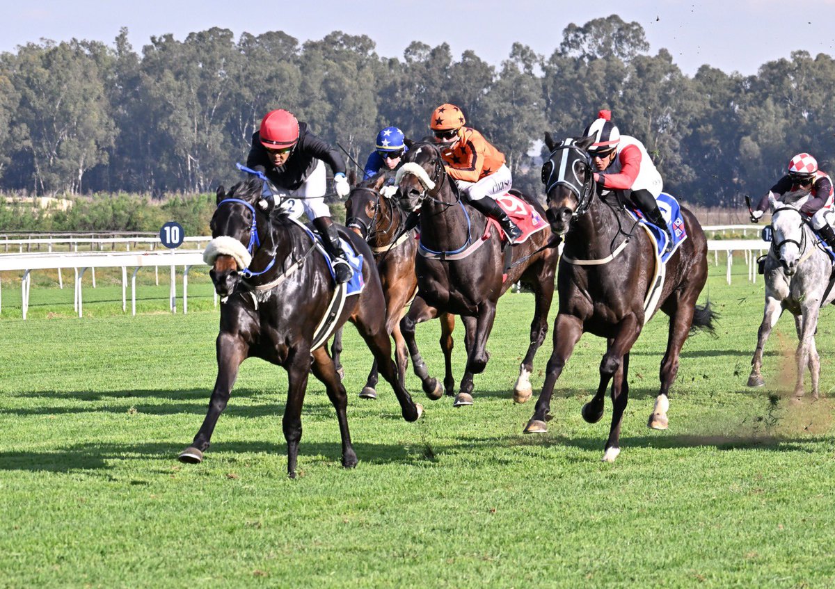 Safgirl2's tweet photo. Another  Vercingetorix wins for us today @DeKockRacing Congratulations to Mary Slack @Wilgerbosdrift on Feast Of Berries’ lovely win. Well done @MuziYeni 
@luckyfishza https://t.co/6luUnh6swq