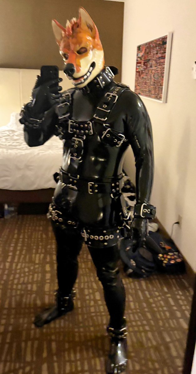 CanineConCarne's tweet photo. I absolutely love my @cuffedstore gear, but after weighing it, this entire ensemble is pushing 30 lbs / 13.6 kg

Guess a strong dog needs the strongest of restraints 💪🧡🦮 https://t.co/iCl7xoiOC1