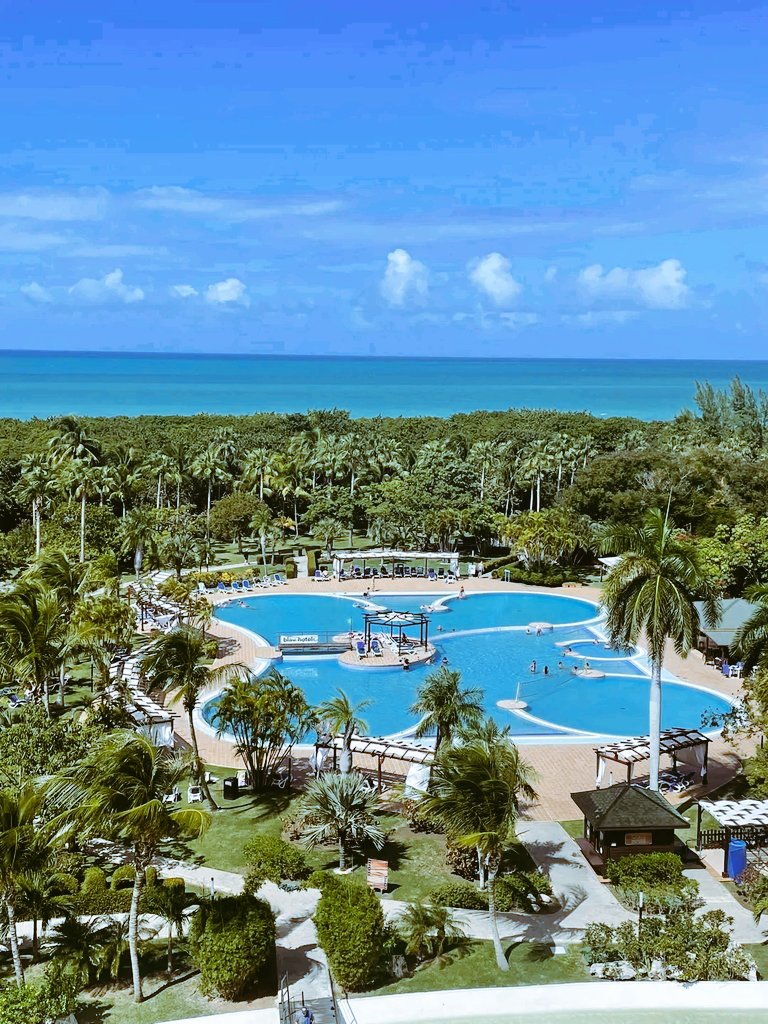 BlauVaraAzul's tweet photo. Es un sueño convertido en realidad esta vista al mar 🏖 desde nuestras habitaciones en #BlauVaradero donde el cielo es siempre Blau.💙
#Varadero  #Cuba
@CubanacanHotel  #cubanacanvaradero https://t.co/1UgHuBV7h5