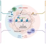 Photo by Trends in Pharmacological Sciences (@TrendsinPharma)
