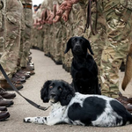Photo by British Military Journal (@MilitaryJournal)