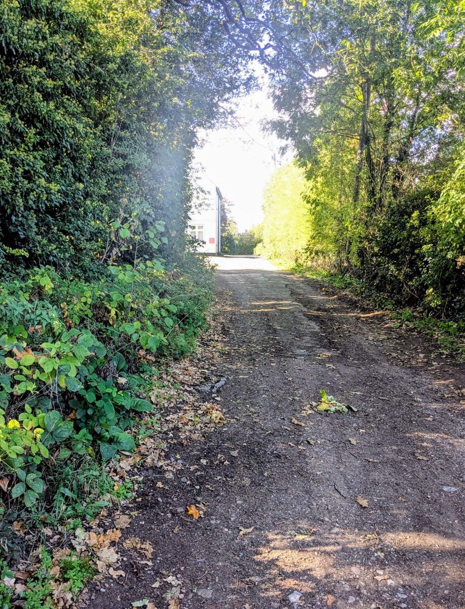 clairevhill's tweet photo. A little pathway on walk today #Knowle https://t.co/fBIkjUkQhq