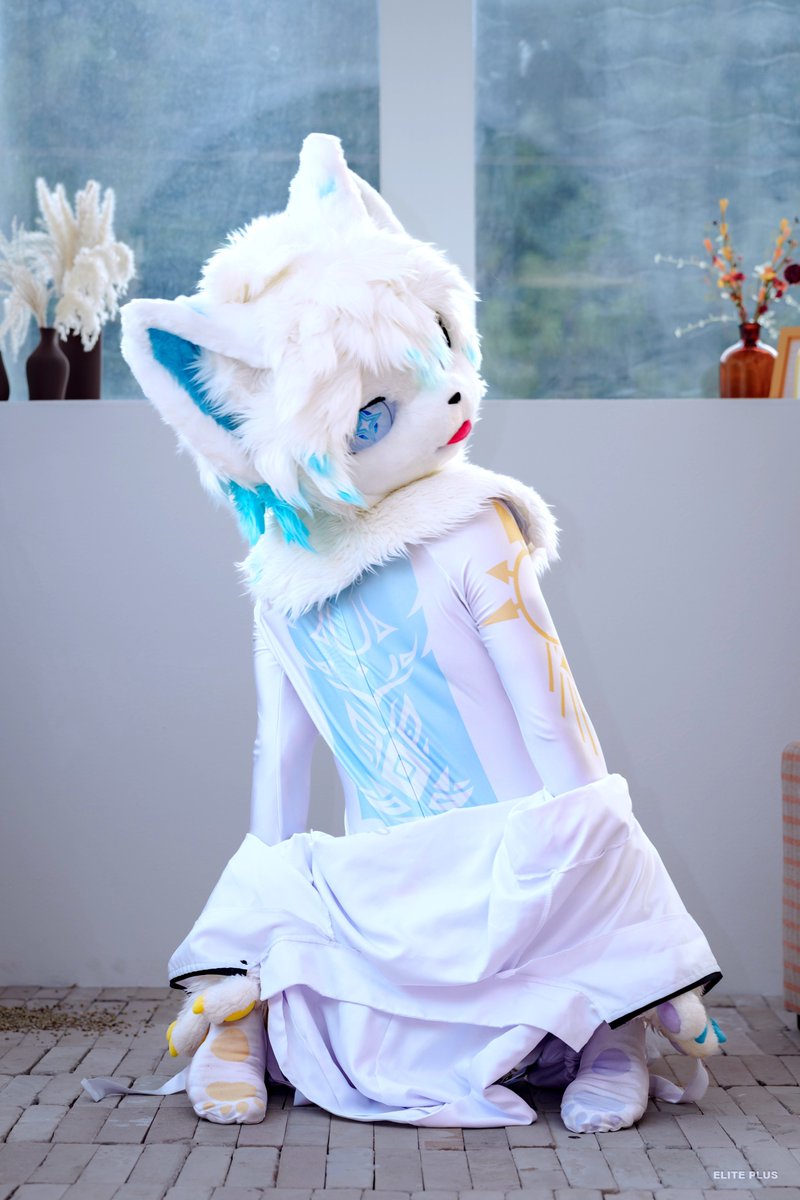 perel_fur's tweet photo. 💠 그저 내 눈을 바라봐줘

#FursuitFriday #fursuit 
📷 @ELPL_Fur https://t.co/yLSNXh81IT