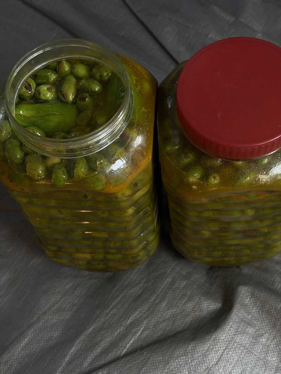 _Raji__'s tweet photo. My father and I prepared olives for winter. This moment brought back memories when my family was whole. https://t.co/0uUuBz7Fse