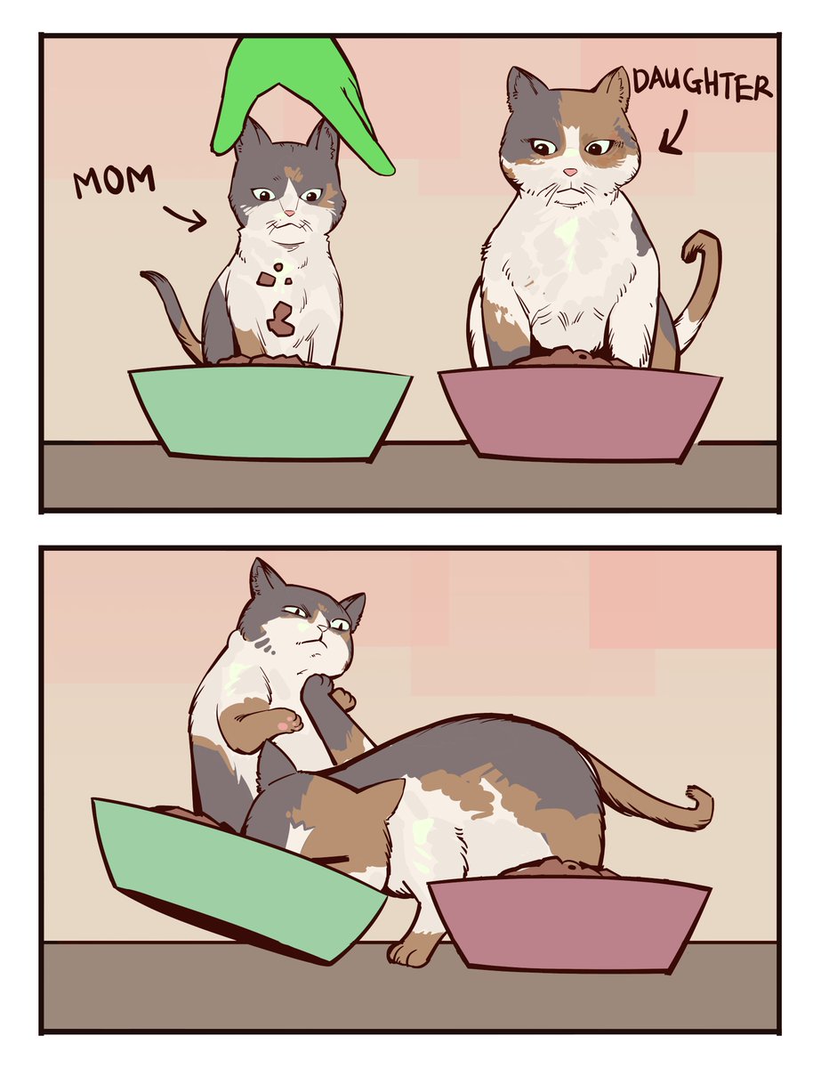 Bonnymama7's tweet photo. Cats 🐈 https://t.co/tTG1oRaQuH