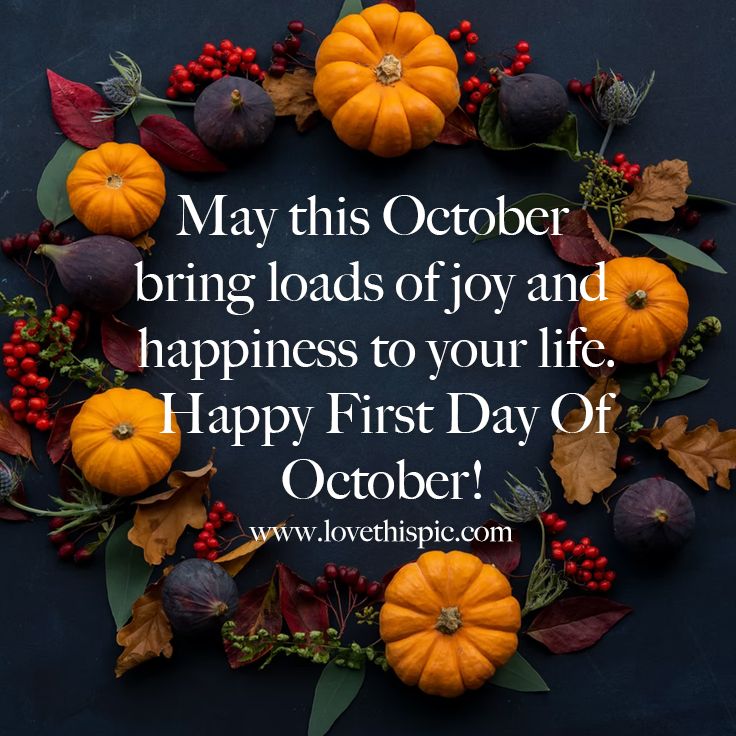 jflorez's tweet photo. @JackConnie Hi Connie! Thank you and Happy October to you, as well! https://t.co/4W8fKOHtDQ