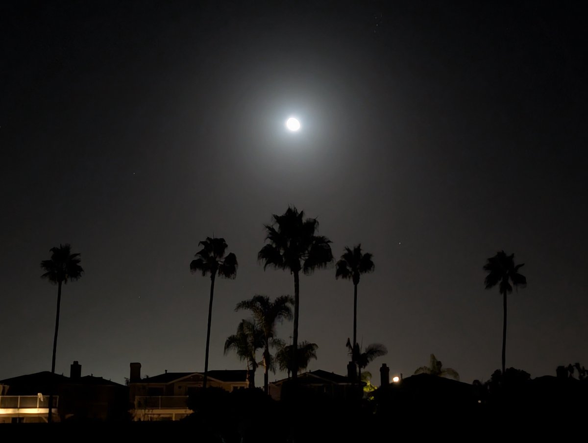 wh0aheavy's tweet photo. 🌕 https://t.co/NmlG87s06L