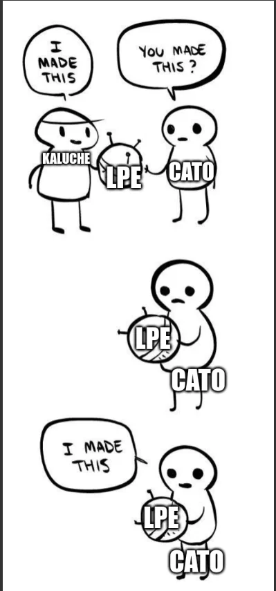 a CatoVPN to your SYSTEM