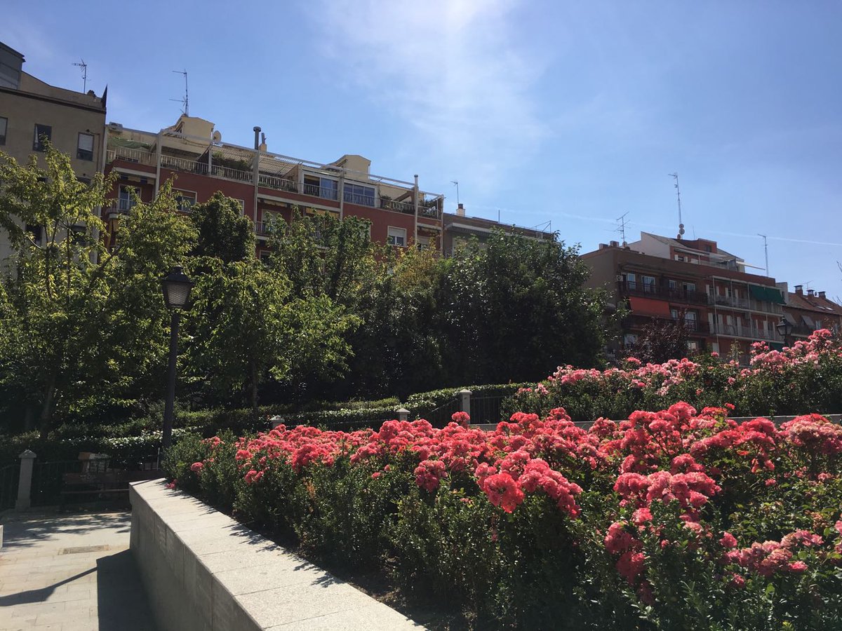 Darcyvcu's tweet photo. Hoy exploré un barrio nuevo de Madrid! Calles coloridas, cafés acogedores y una tarde perfecta para caminar sin prisa. ， https://t.co/8FWYbXbKPv
