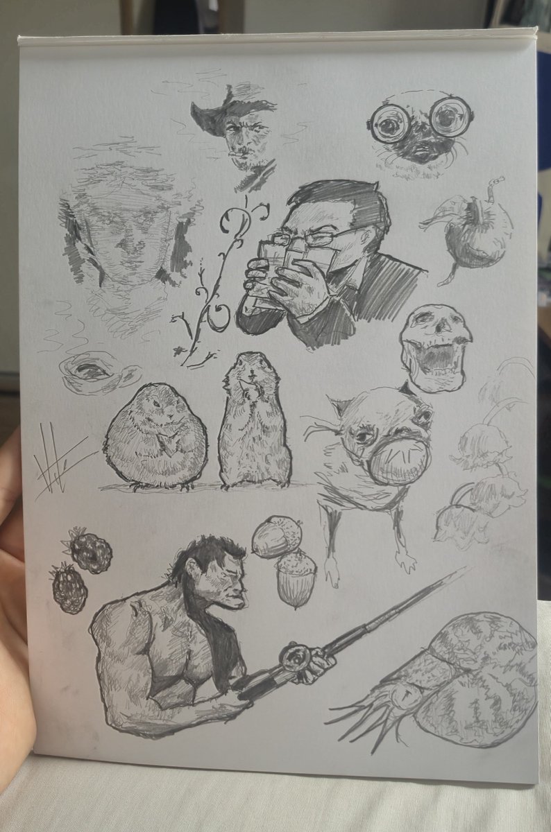 VitoPauMolenga's tweet photo. dibujos https://t.co/YGxOp416er