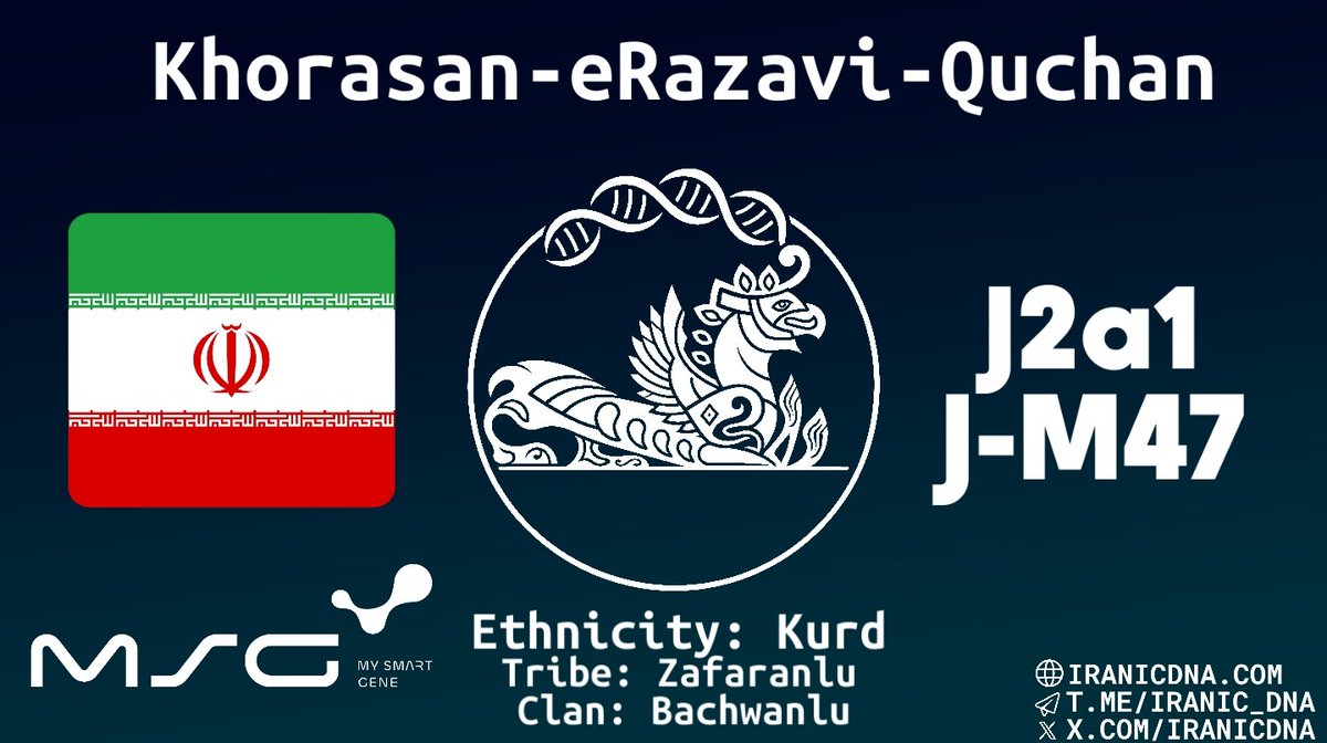Iranicdna's tweet photo. Country: Iran
Ethnicity: Kurd
Sub-Ethnicity: Kurmanji
Tribe: Zafaranlu
Clan: Bachwanlu
Province: Razavi Khorasan
County: Quchan
City: Quchan
Y-DNA haplogroup: J2a1a1a2a2b
Y-DNA haplogroup SNP: M47
mtDNA haplogroup: J1b https://t.co/z4BaW1mwvK