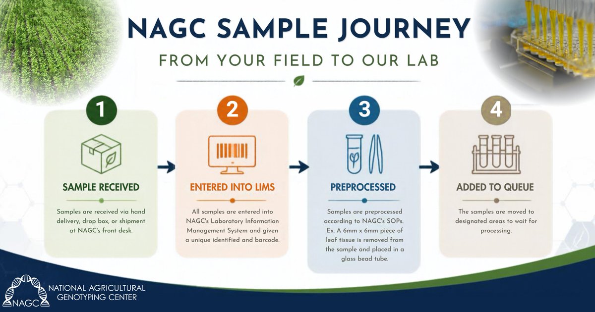 nagclab's tweet photo. Ever wonder what happens after a sample arrives at NAGC? 🔬
There’s a lot that happens to a sample before it even begins processing. Today, we’re giving you a little behind-the-scenes look at what happens inside the lab. 🧪

#NAGCLab #InsideNAGC https://t.co/UFNiSzUDFh
