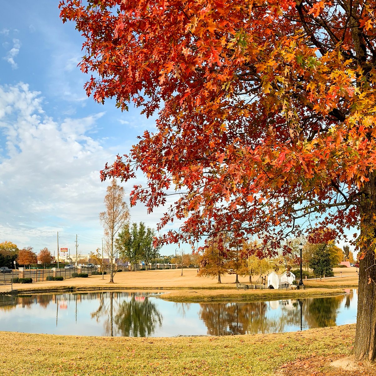 SouthernMiss's tweet photo. A preview of what's to come 🍂 https://t.co/Lun8walmCU
