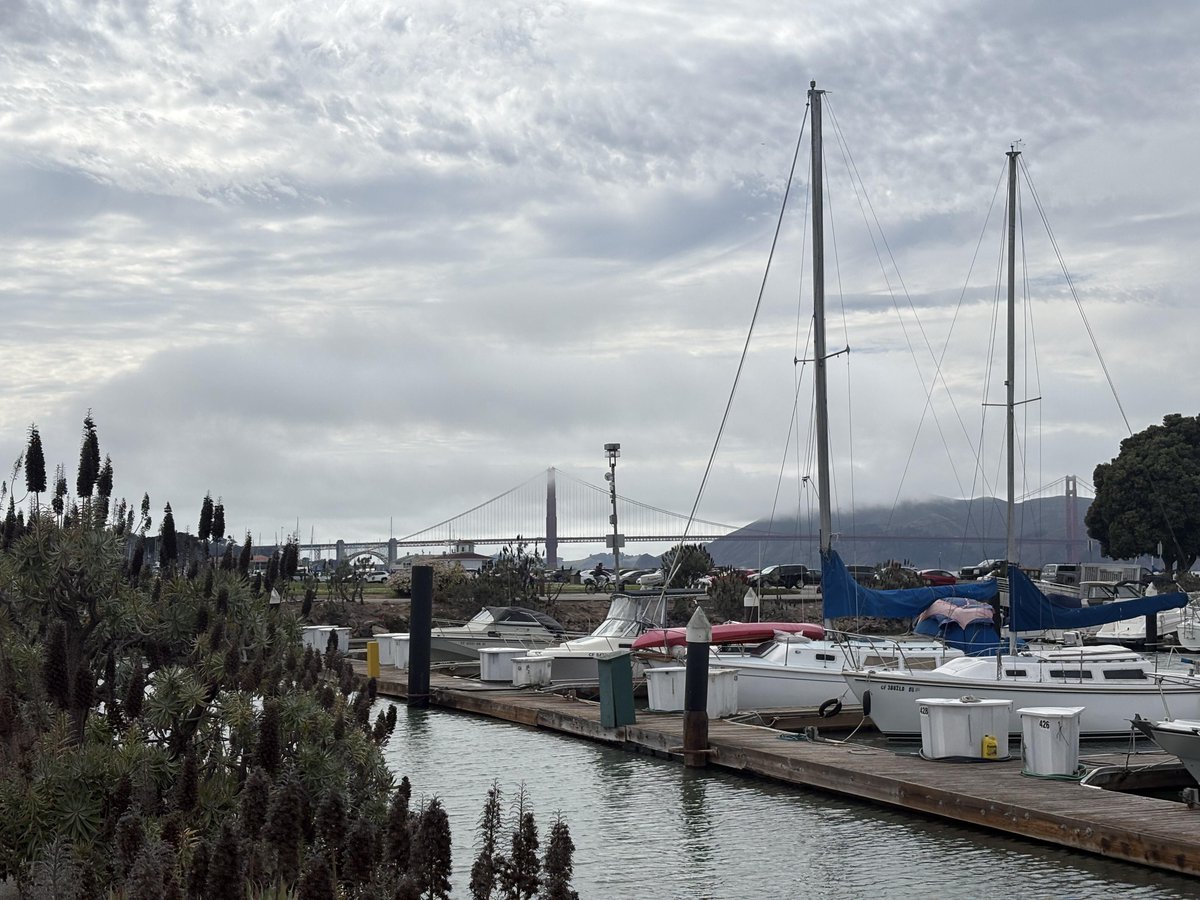 PixiePatro's tweet photo. Early mornings are my favorite. Quiet streets, cool air, and a little time by the water before the city wakes up
#MorningWalk #SanFranciscoLifestyle https://t.co/B9TGllF2Df