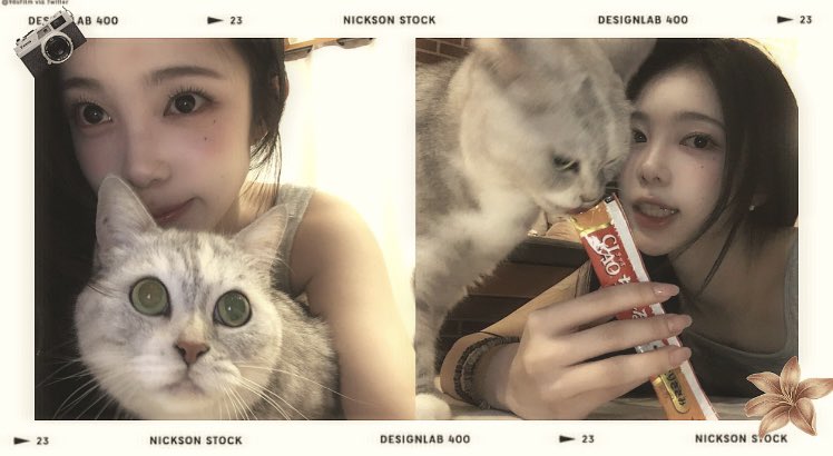 jeongiiann's tweet photo. 𖥻 ׁ ׅAru 🐾 ! ﹒ ◡◡  Just two little souls sharing a quiet, cozy moment — sleepy eyes, soft cuddles, and a tiny treat in between. it feels warm and nostalgic, like one of those simple memories you never really wanna let go of. 𖾕𖾝꙼ᩚ𛲕𖾟 https://t.co/MhIZuL6A1o