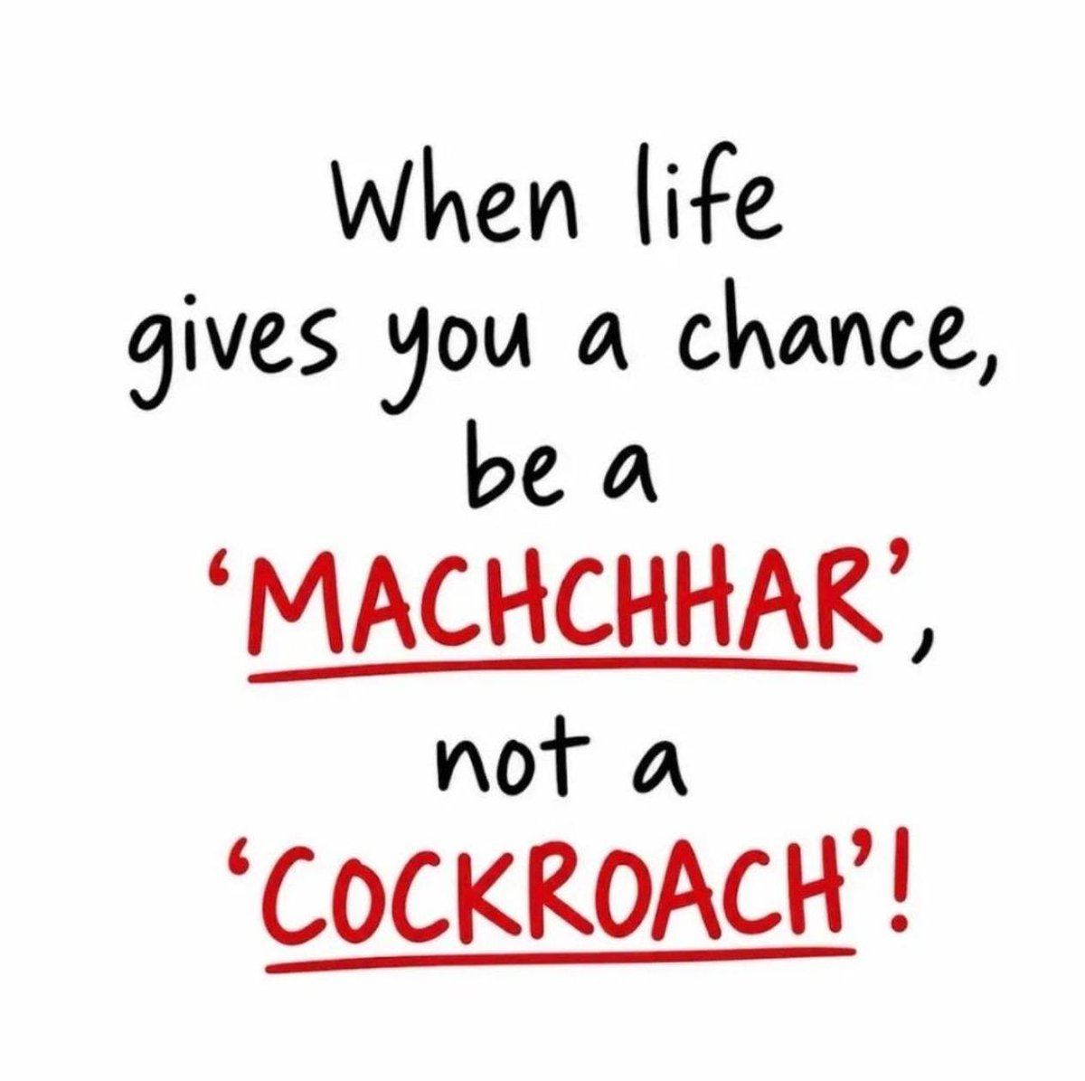 theshailendraj's tweet photo. When life gives you a chance,
be a “MACHCHHAR” 🦟… not a “COCKROACH” 🪳! 😄
@narendramodi @BJP4India @AmitShah @BJP4Gujarat #BJP #NarendraModi #India #Politics #PoliticalHumor
#PilotHealth #PilotsmitMachchhar #pilotsmit https://t.co/8JEtNDSCRo