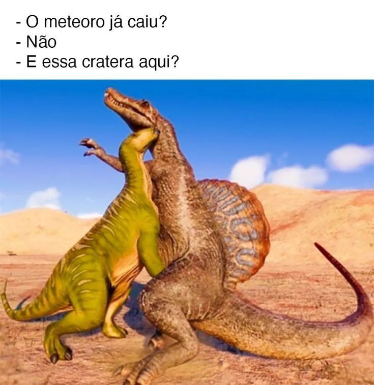 AnaliseDeCalvos's tweet photo. https://t.co/Uybojj3hGZ