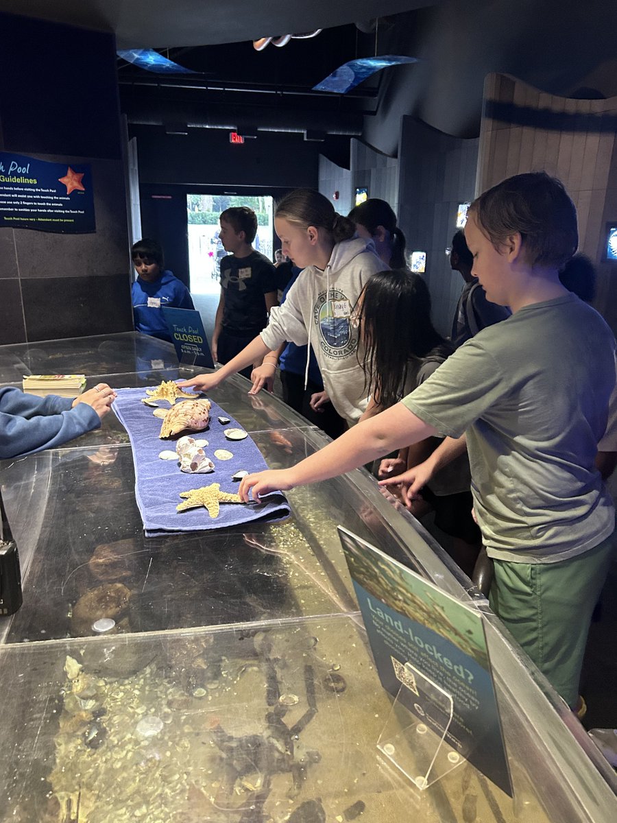 mps_russell's tweet photo. Tuesday, sixth grade HAL students from Russell and North Middle explored animal adaptations at the Henry Doorly Zoo. #TWolfPride https://t.co/EicnmUSaSy