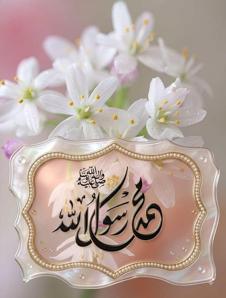 u_8zm's tweet photo. ﷽

۞إِنَّ اللَّهَ وَمَلَائِكَتَهُ يُصَلُّونَ عَلَى النَّبِي يَا أيُّهَا الَّذِينَ آمَنُوا صَلُّوا عَلَيْهِ وَسَلِّمُوا تَسْليما۞

اللَّهُم صَلِّ وسَـلِّم علَى نَبِينَا םבםב ﷺ 🤍 https://t.co/IcnTADDfKC