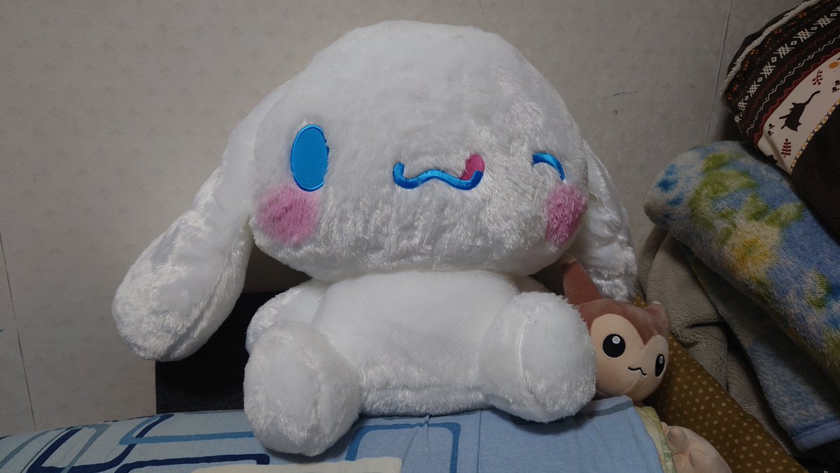 haito0831's tweet photo. クソデカシナモロール https://t.co/klizj0HpP6