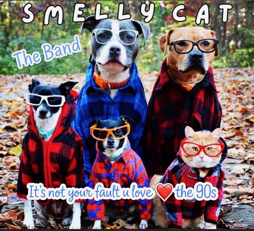 CarrWinery's tweet photo. Smelly Cat LIVE at Carr Winery

Join us for 90s Acoustic Night on Friday, October 2nd from 7 - 9pm for nostalgia fueled fun!

Free admission, 21+

#carrwinery #smellycat #seesb #santabarbara #livemusic https://t.co/Rg7fzYaz3b