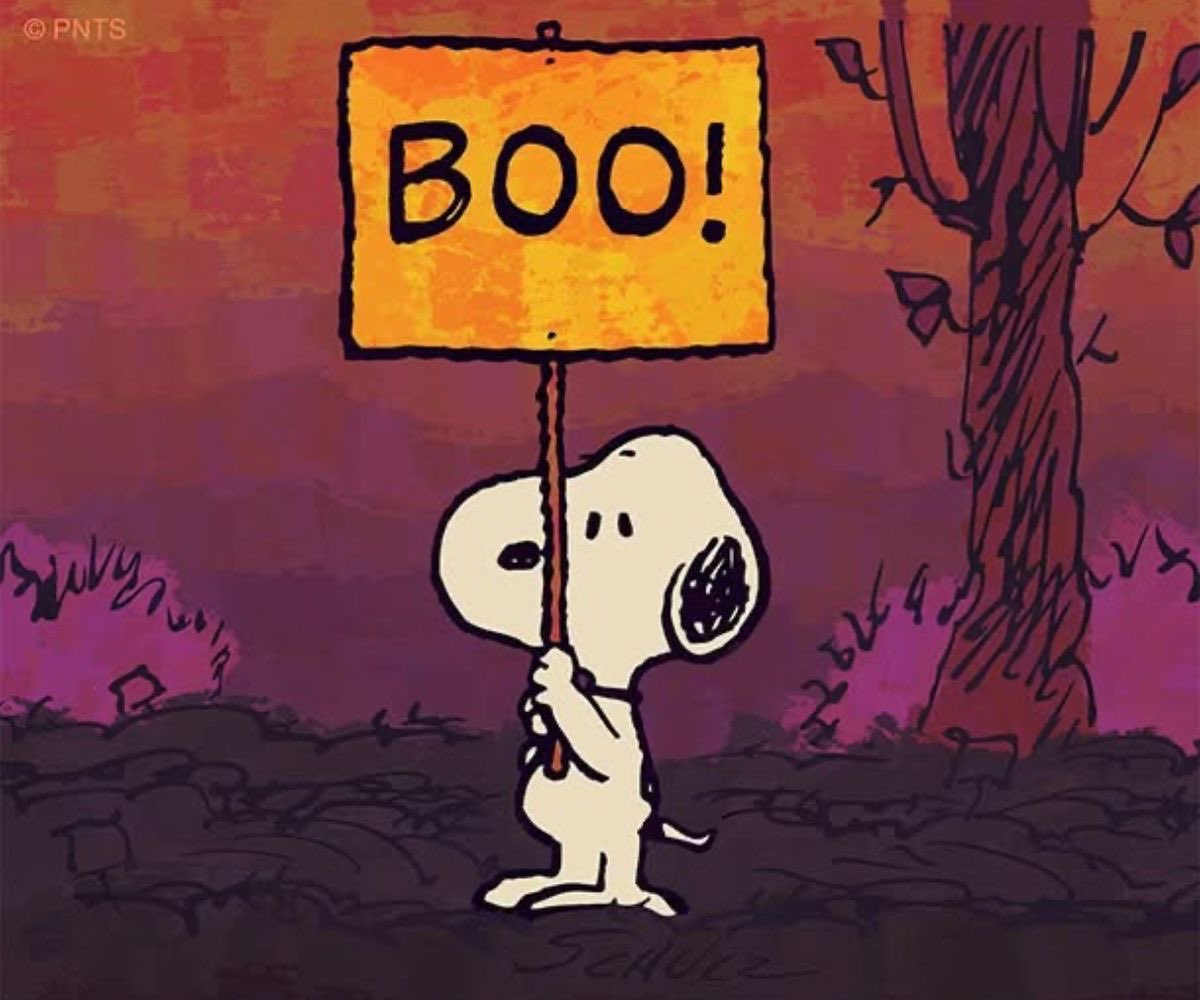 DailySnoopys's tweet photo. https://t.co/dXGv7EH20G