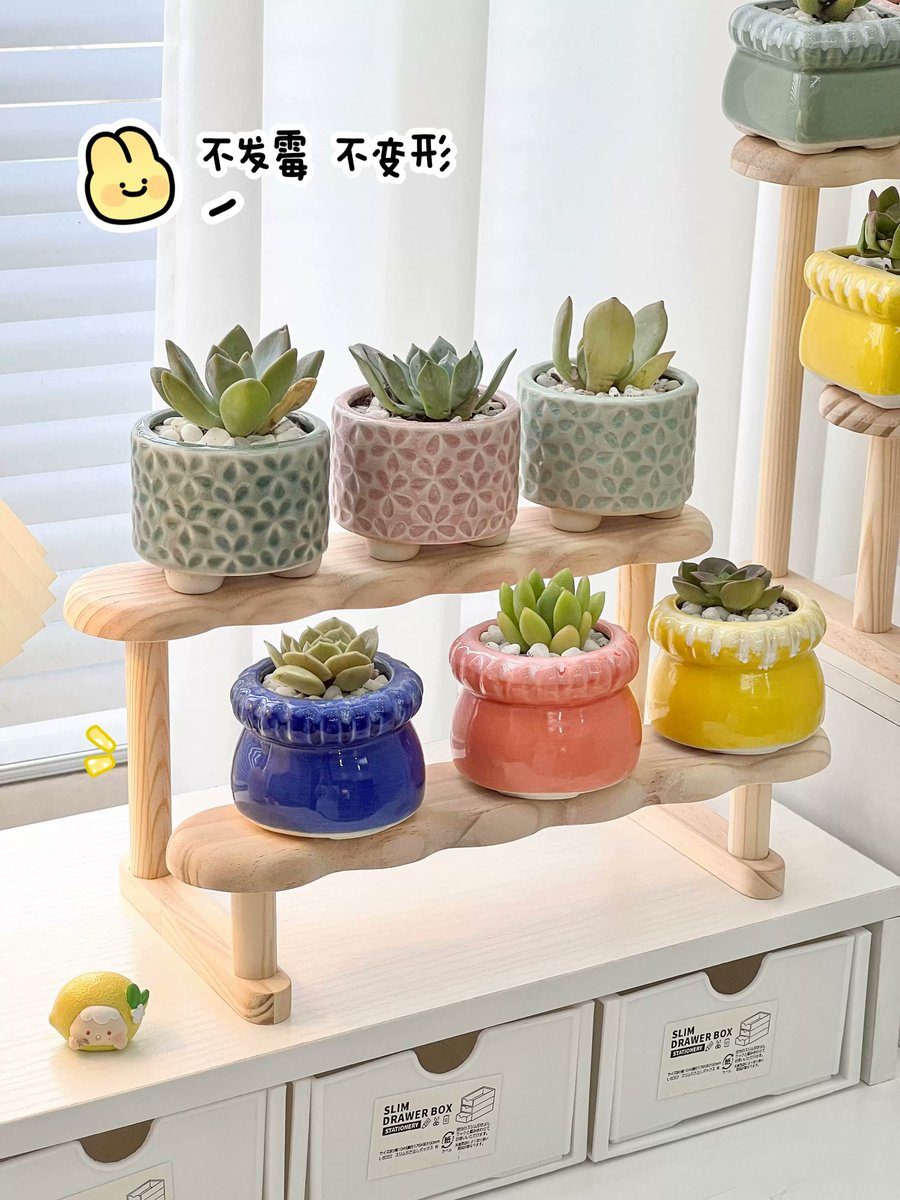 Macmillancbncp's tweet photo. Transformamos una vieja escalera de madera en un estante decorativo para plantas. Un truco creativo y económico para reutilizar objetos!， https://t.co/QbOb7cjr5b
