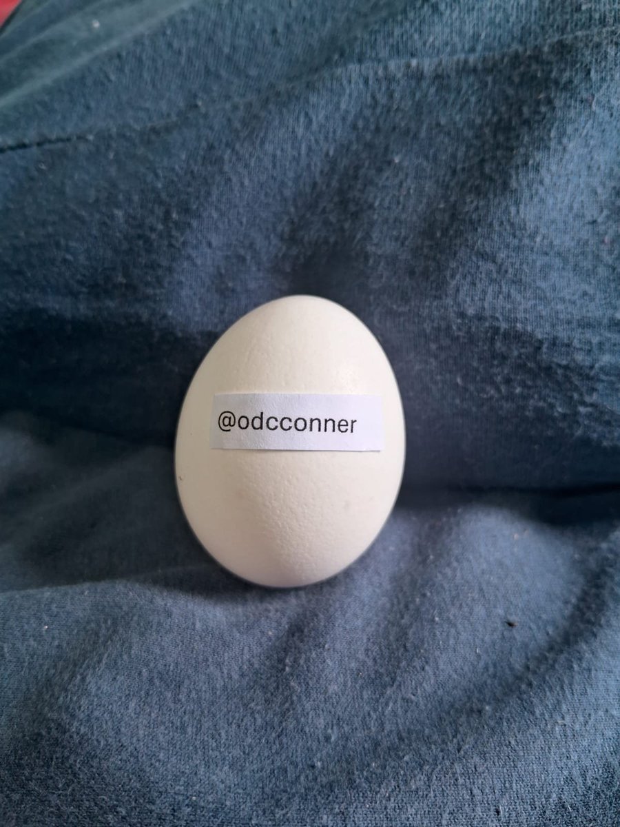 Usuovo's tweet photo. @odcconner thanks for the follow! https://t.co/xsjF9dT2MN