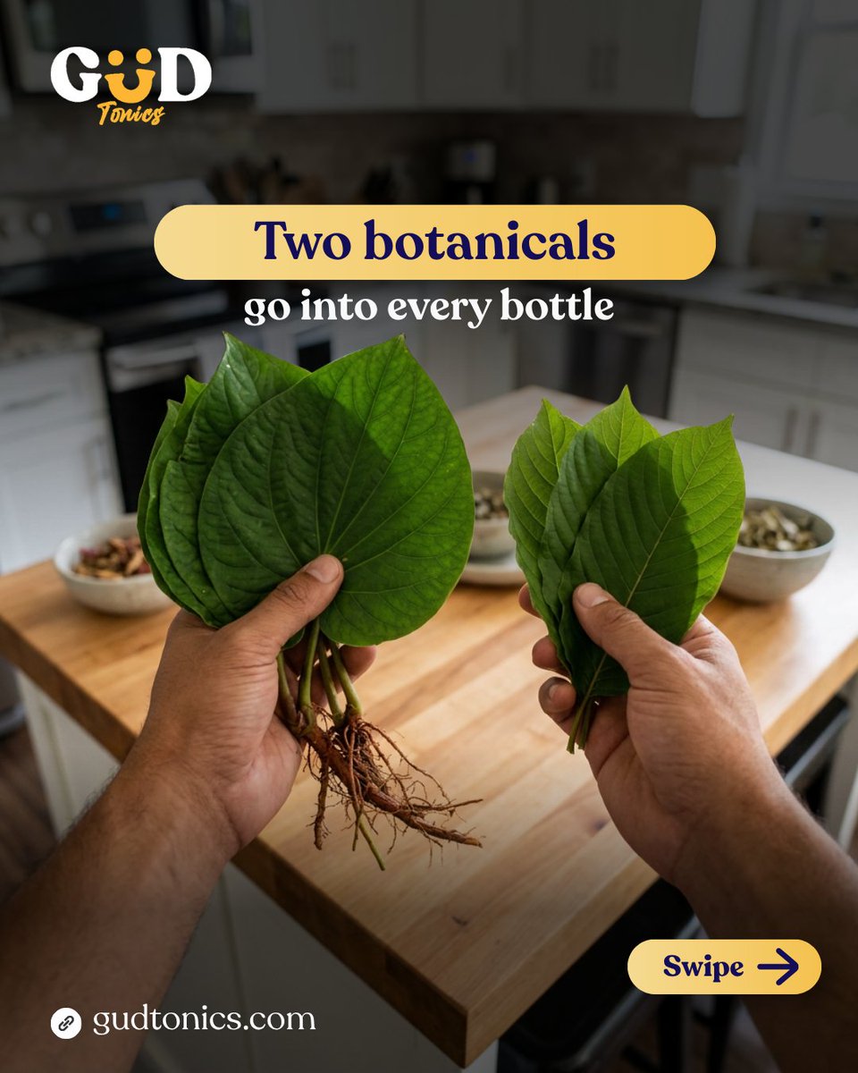 GUDTonics's tweet photo. Two plants go into every bottle of GUD: krava and kr8tom.
You can see both on the label.
And if you want the longer story, we wrote that too. 
Where each one comes from, how it gets here, and what's actually in the bottle.
#gudtonics #k4va #ingredients #austintx #21plus https://t.co/9sNCCKWGy6
